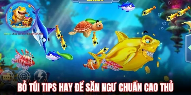 Bỏ túi tips hay để săn ngư chuẩn cao thủ