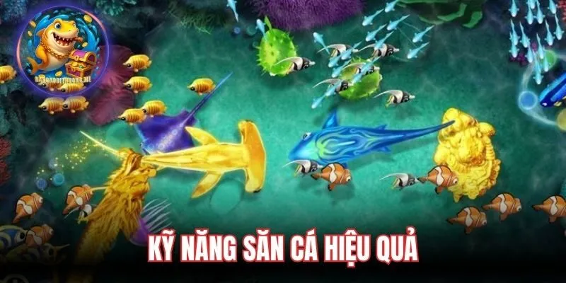 Kỹ năng săn cá hiệu quả